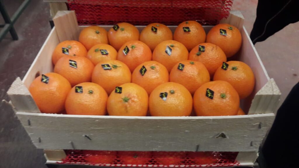 About whatsapp image 2025 07 19 à 18.42.11 ba54074d