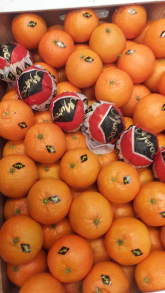 About whatsapp image 2025 07 19 à 18.42.11 ba5b78e2