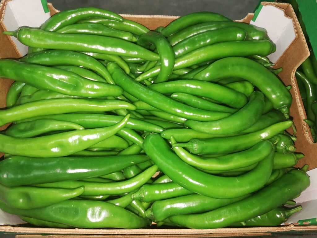 About whatsapp image 2025 07 19 à 18.42.12 0541e5b1