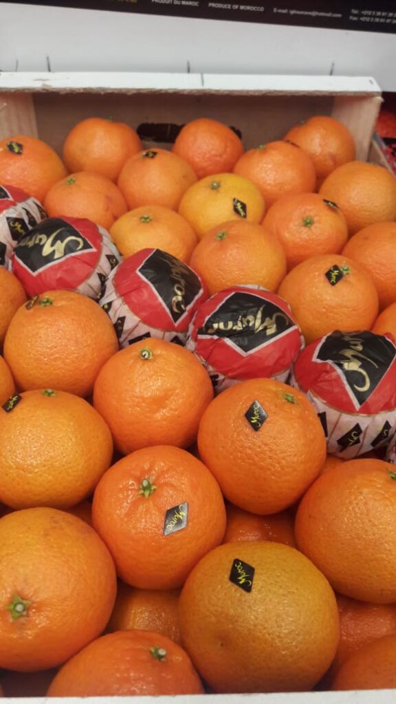 About whatsapp image 2025 07 19 à 18.42.12 73e60b70