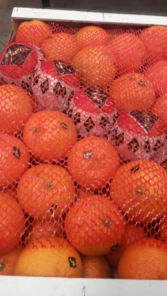 About whatsapp image 2025 07 19 à 18.42.12 c4f5e03f