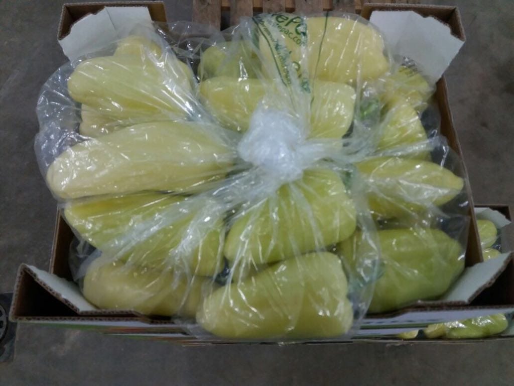 About whatsapp image 2025 07 19 à 18.42.13 41758f65