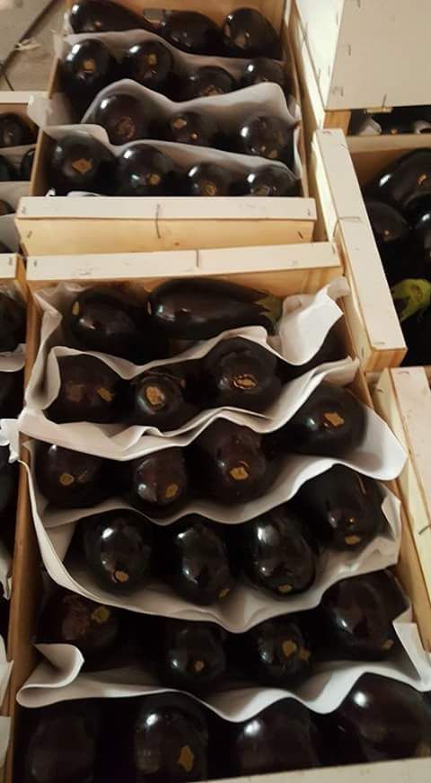 About whatsapp image 2025 07 19 à 18.42.13 b0b1b776