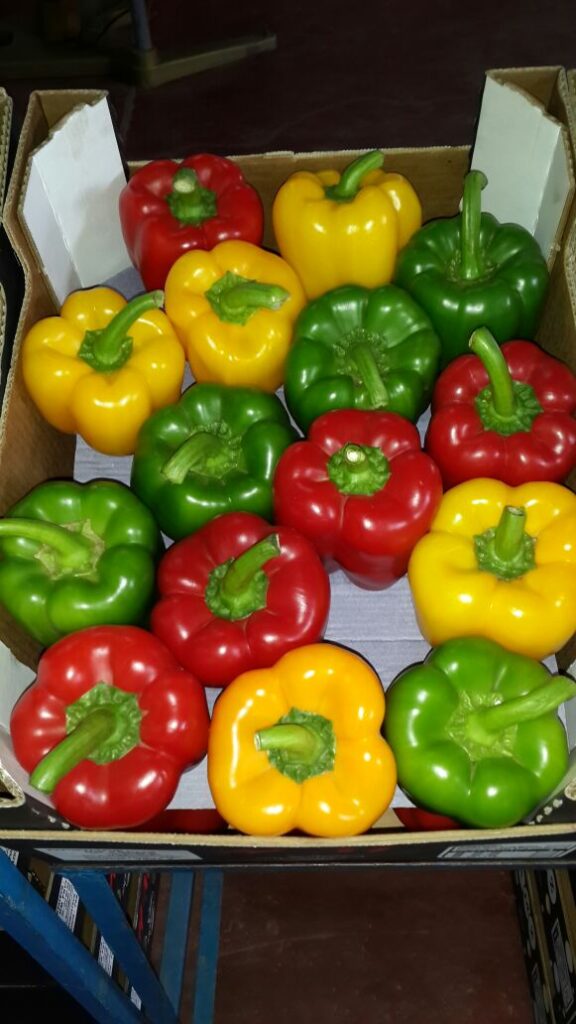 About whatsapp image 2025 07 19 à 18.42.14 b7d3d19d