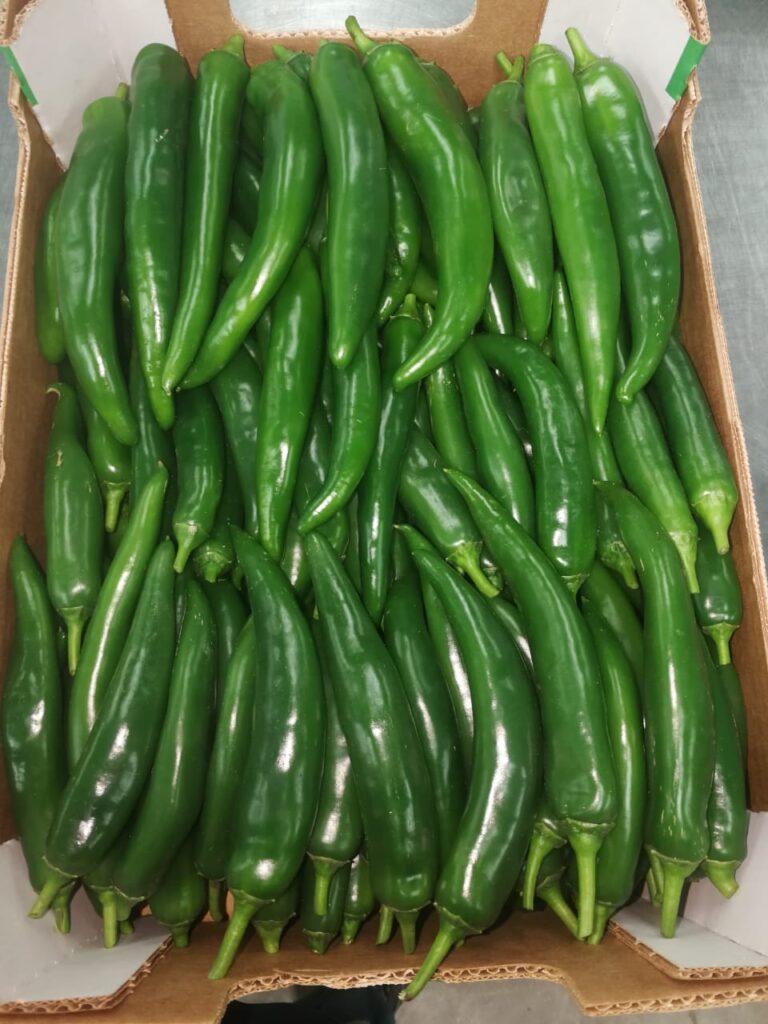 About whatsapp image 2025 07 19 à 18.42.14 cbf96263