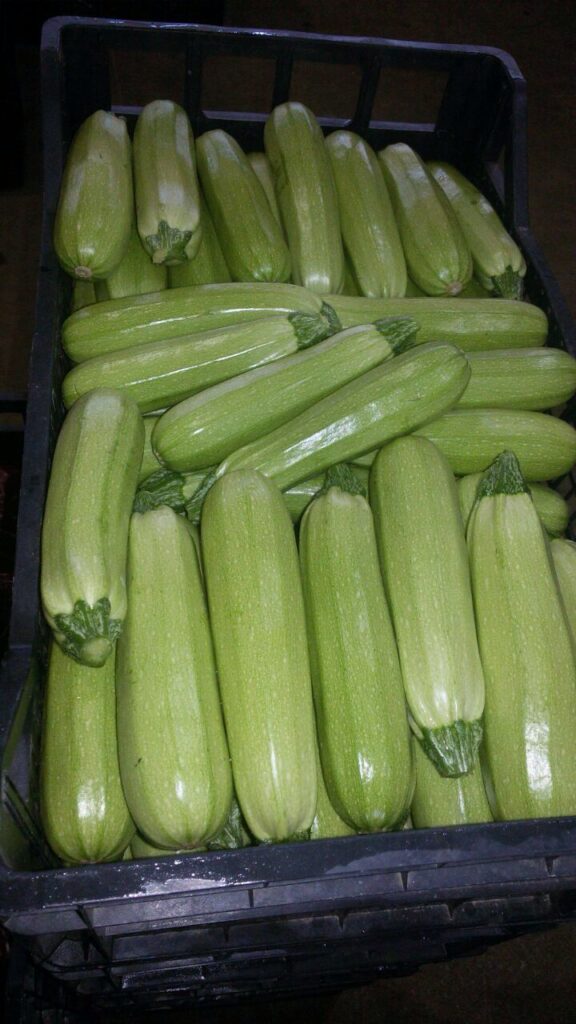 About whatsapp image 2025 07 19 à 18.42.14 ee8edefb