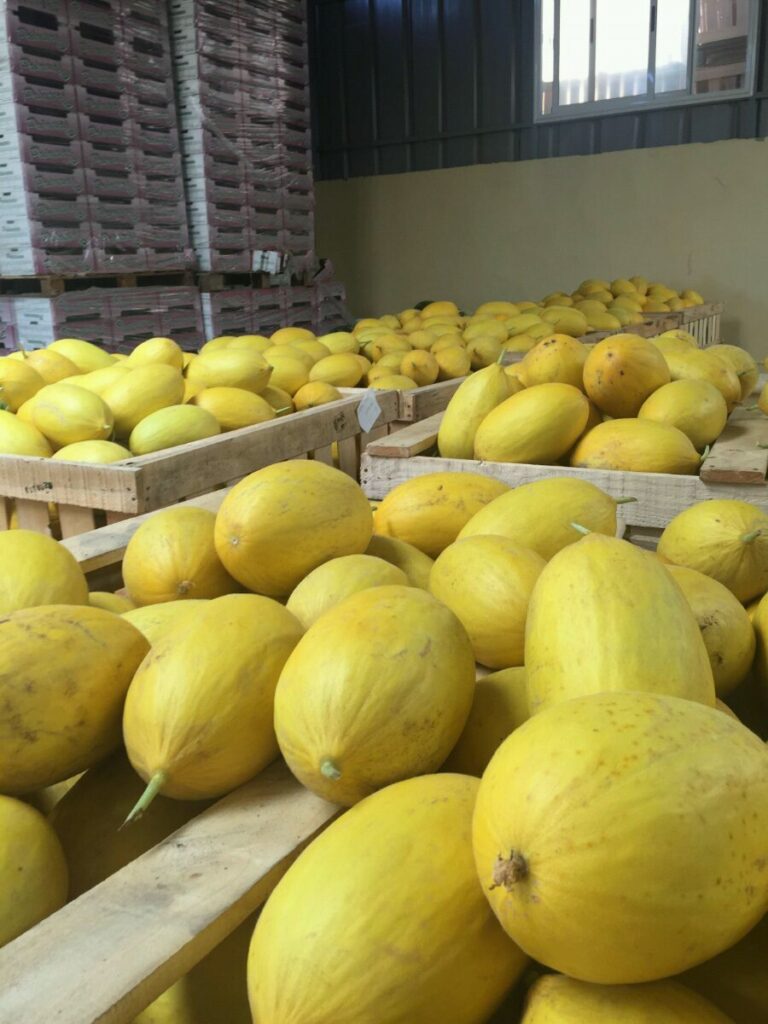 About whatsapp image 2025 07 19 à 18.42.15 9c6f8ec3