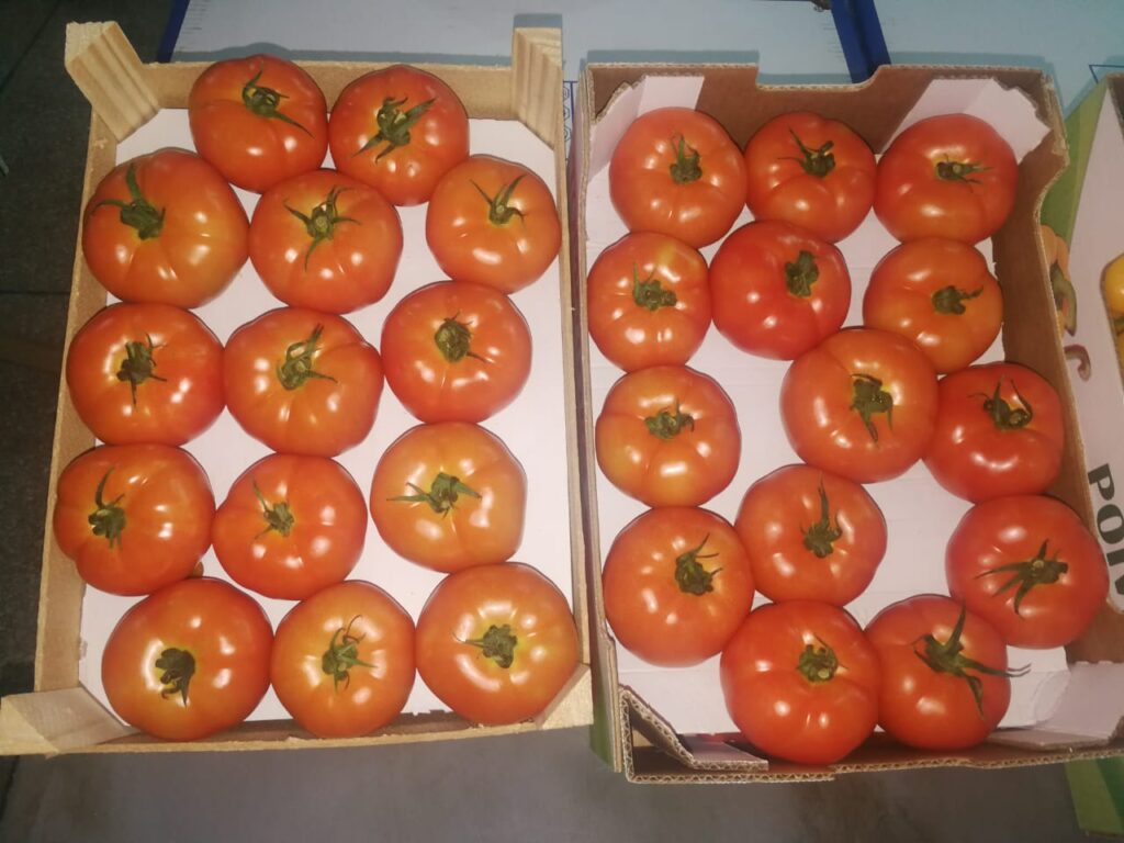 About whatsapp image 2025 07 19 à 18.42.16 7ce0b206