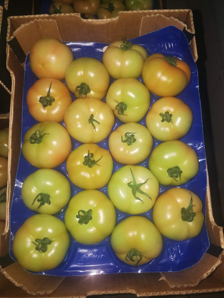 About whatsapp image 2025 07 19 à 18.42.16 e657666d