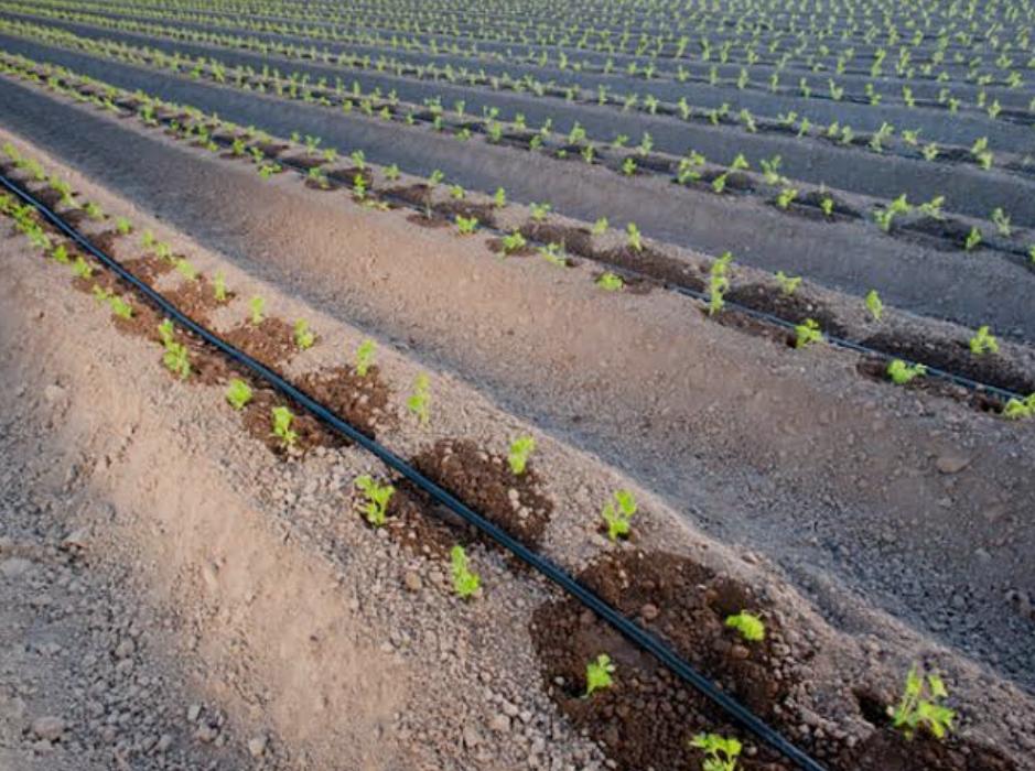 About whatsapp image 2025 07 21 à 14.50.41 86aa186e