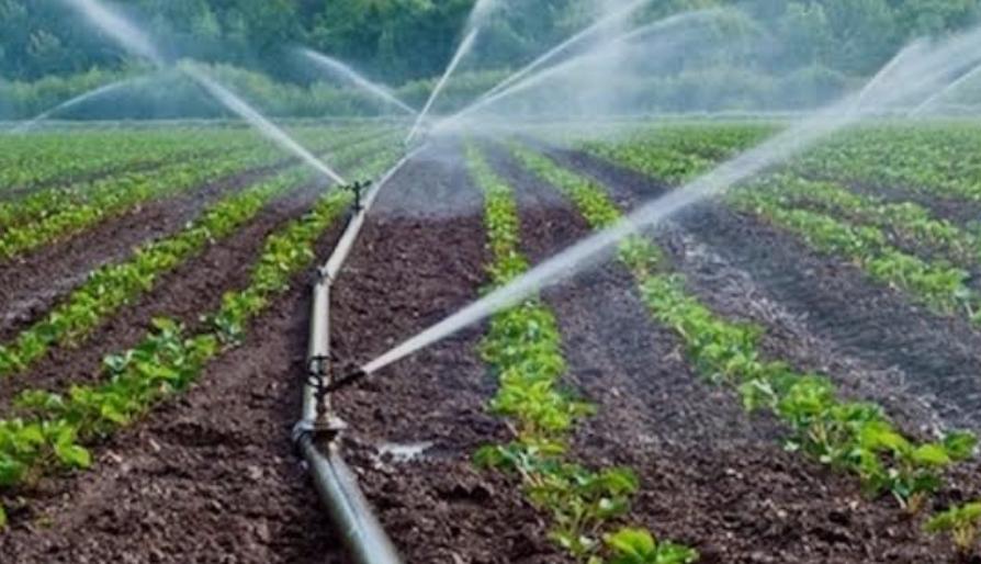 About whatsapp image 2025 07 21 à 14.50.41 8b9eb2b3