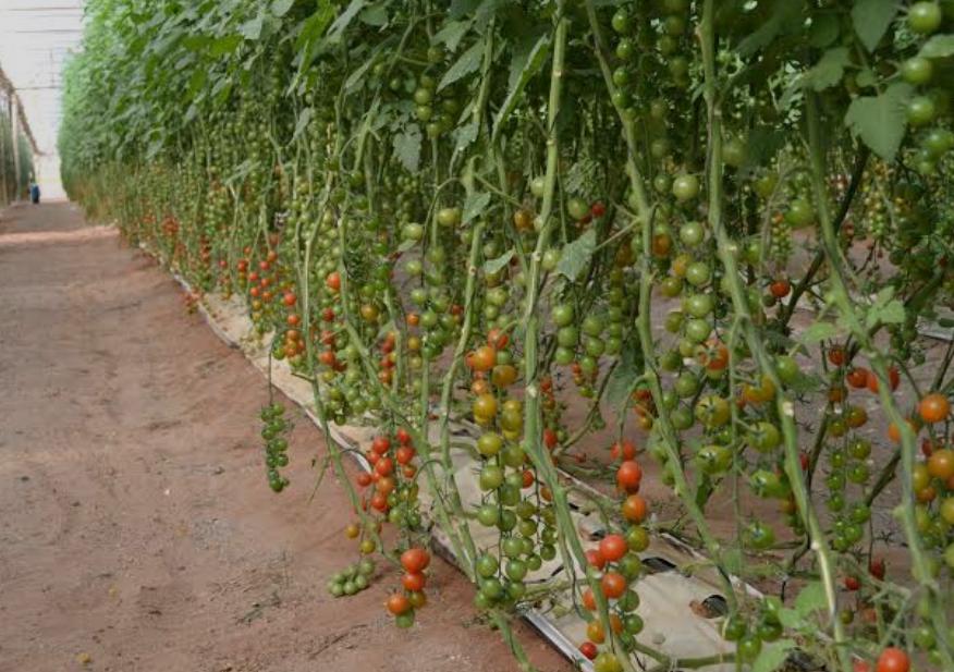 About whatsapp image 2025 07 21 à 14.50.41 eb81d519