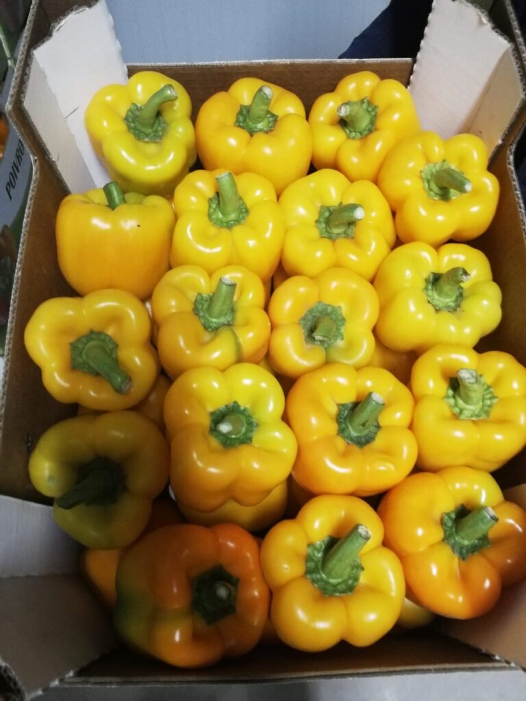 About poivron jaune