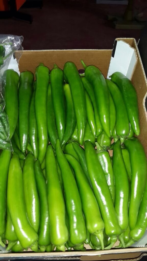 About povron twil vert